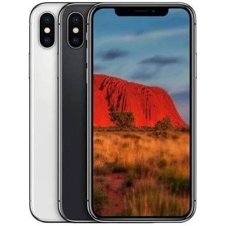iPhone X